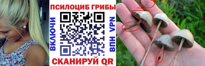 Купить Бугуруслан Галлюциногенные грибы мицелий